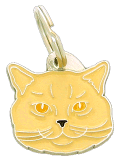 British Shorthair crema - Placa grabada, placas identificativas para gatos grabadas MjavHov.